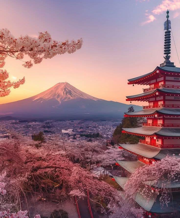 Trip to Japan 🇯🇵